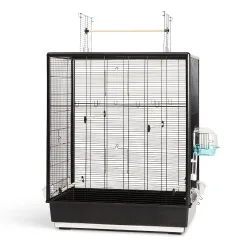 Savic Primo 60 Open Empire - L 80 x B 50 x H 115 cm