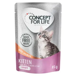 Sparpaket Concept for Life getreidefrei 24 x 85 g - Kitten Lachs - in Sosse