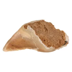 Trixie Kauhuf Fleischpastete - 5 x 115 g
