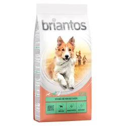Briantos Adult Sensitive Lamm & Reis - Sparpaket: 2 x 14 kg