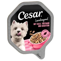 Megapack Cesar Schale 14 x 150 g - Landragout mit Kalb und Truthahn