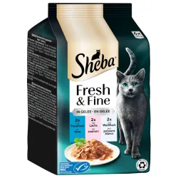 Multipack Sheba Fresh & Fine Frischebeutel 6 x 50 g - Thunfisch, Lachs & Weissfisch in Gelee
