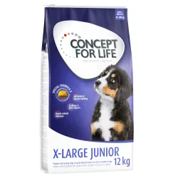 Concept for Life X-Large Junior - Sparpaket 2 x 12 kg