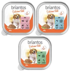 Briantos Delicious Paté 9 x 300 g - Mix: Fisch, Lamm & Rind