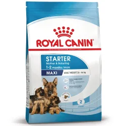 Royal Canin Maxi Starter Mother & Babydog - Sparpaket: 2 x 15 kg