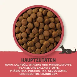 Applaws Adult Huhn Grosse Rassen - 15 kg