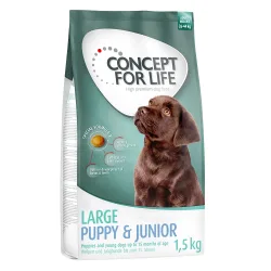 Concept for Life Large Puppy & Junior  - Sparpaket: 4 x 1,5 kg