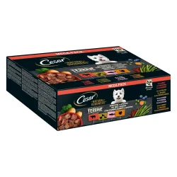 Cesar NATURAL GOODNESS Mega-Pack Terrine 4 Varietäten 24 x 100g