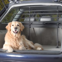 Trixie Auto-Gitter