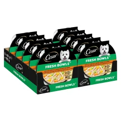 Cesar Fresh Bowls - Sparpaket: Huhn in Sauce (20 x 85 g)