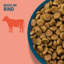 Perfect Fit Adult Hund (