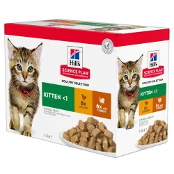 Hill's Science Plan Kitten Multipack Truthahn und Huhn 12x85 g