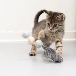 Katzenangel Flauschi - 1 Stück