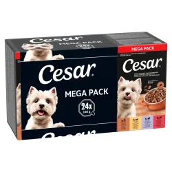 Cesar Mega Pack - Ländliche Eintopfgerichte für erwachsene Hunde