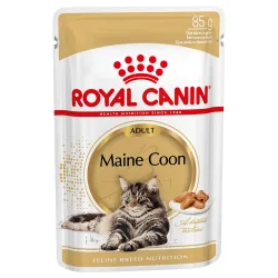 Royal Canin Maine Coon Adult in Sosse - Sparpaket: 24 x 85 g