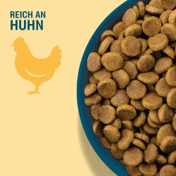 Perfect Fit Adult Hund (