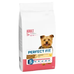 Perfect Fit Adult Hund (