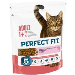 PERFECT FIT Adult 1+ Reich an Lachs 1.4 kg