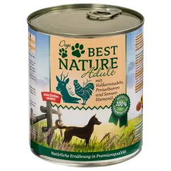 Sparpaket Best Nature Dog Adult 12 x 800 g - Wild, Huhn & Nudeln