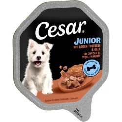 Sparpaket Cesar Junior Schale 28 x 150 g - mit Truthahn und Kalb