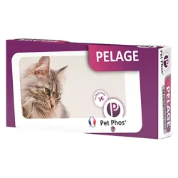 PET - phos pelage chat