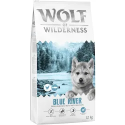 Wolf of Wilderness Junior 