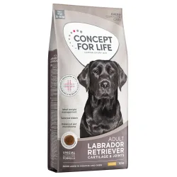 Concept for Life Labrador Retriever Adult - NEU: Sparpaket 2 x 12 kg