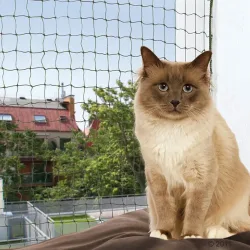 Trixie Bissfestes Katzennetz oliv - 2 x 1,5 m