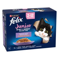 Felix So gut wie es aussieht Junior 12x85g
