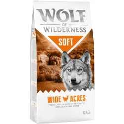 Wolf of Wilderness 