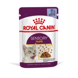 Royal Canin Sensory Taste in Gelee - Sparpaket: 48 x 85 g