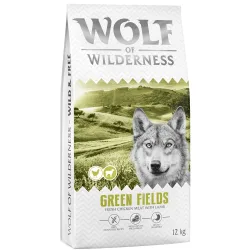 Wolf of Wilderness Adult 