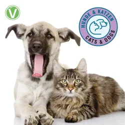 Vetlando Zahnpflegespray - 50 ml