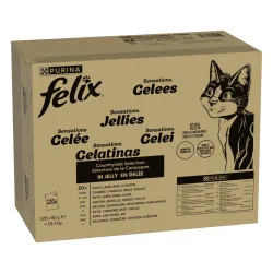 Jumbopack Felix 