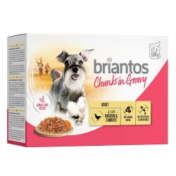 Briantos Chunks in Gravy 12 x 100 g - Lachs & Karotten
