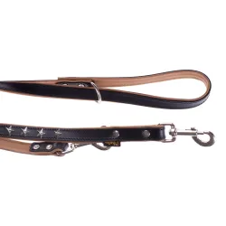 Sparset! Vorführleine Stars + Lederhalsband Stars - Halsband Grösse 50 + Leine 200 cm