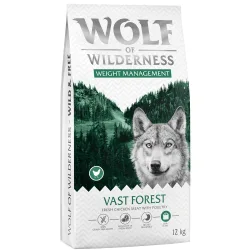Wolf of Wilderness 