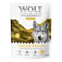 Wolf of Wilderness 