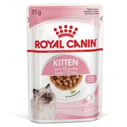 Royal Canin Kitten in Sosse - 12 x 85 g