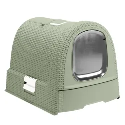 Curver Katzentoilette - grün: L 51 x B 38,5 x H 39,5 cm