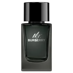 BURBERRY Mr. Burberry Eau de Parfum 100 ml Herren