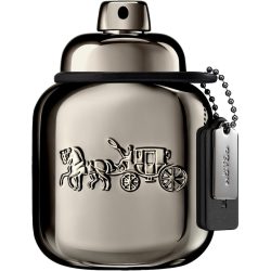 COACH Pure Platinum Parfum 40 ml Herren