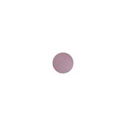 MAC Pro Palette Eyeshadow Lidschatten 1,5 g SHALE
