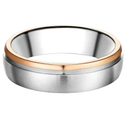 Trilani Ring aus Edelstahl in Silber und Roségold Ringe 1 ct Herren