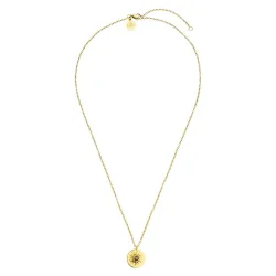 Purelei Luana Coin Kette 100% Edelstahl Ketten 1 ct Hellbraun