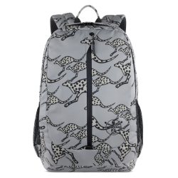 Chiemsee Jump N Fly Daypack Reisetaschen 1 ct Grau Herren