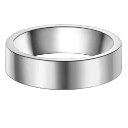 True Rebels Ring aus Edelstahl in silber Herrenschmuck 1 ct Herren