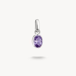 Thomas Sabo Charm - Geburtsstein Februar - CC1330-051-13