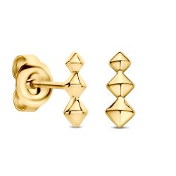 FJF JEWELLERY Ohrringe - FJF0030070SYG