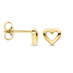 FJF JEWELLERY Ohrstecker - FJF0030073YWH